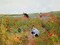 Poppies In A Field 1880 Poster Print by Mary Cassatt - Item # VARPDX372689